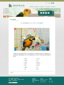 打造貼心體驗(yàn) 寵物用品網(wǎng)站的設(shè)計(jì)要點(diǎn)與趨勢
